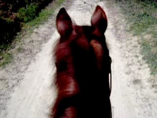 encor milieu de la balade