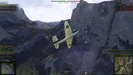 Puerquito Panza Rosada