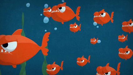 Sprid inte främmande arter i våra vatten