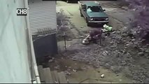 pit bull attacks neighbor pit bull outside dogpit, owner injured