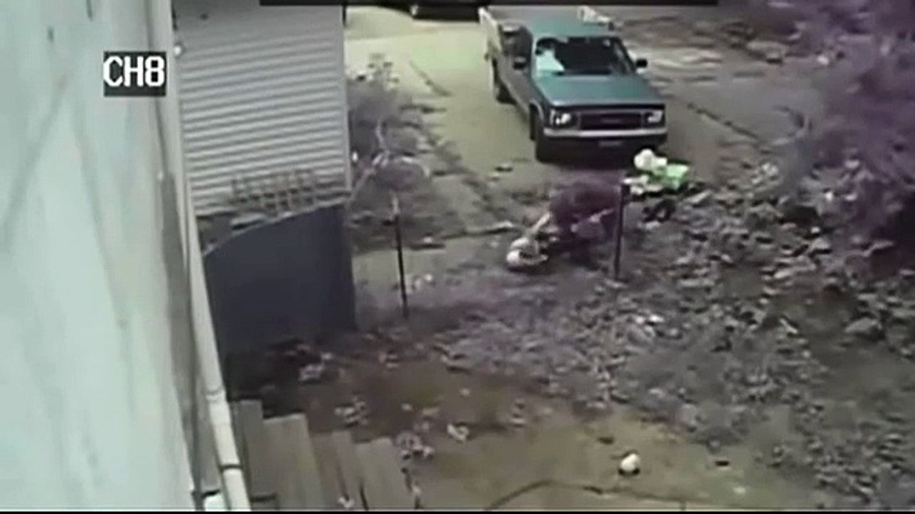 pit bull attacks neighbor pit bull outside dogpit, owner injured