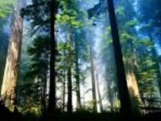 Asin - Masdan Mo Ang Kapaligiran