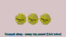 Sports Training Tennis Balls (3-Ball Set)