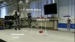 Humanoid Robot LOLA detects obstacles with a Kinect-like sensor