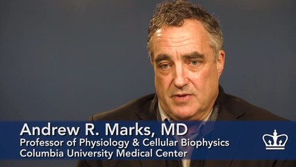 Cellular Defect Linked to Diabetes