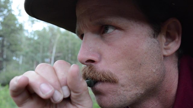 Elk Hunting: Intro to Cow Calls and Bugles