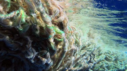 Radiation In Pacific Ocean