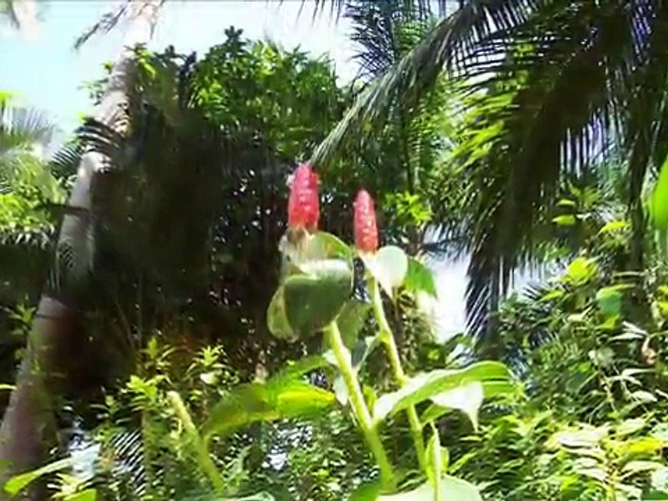 Hidden Valley Hot Springs Resort...Laguna, Philippines