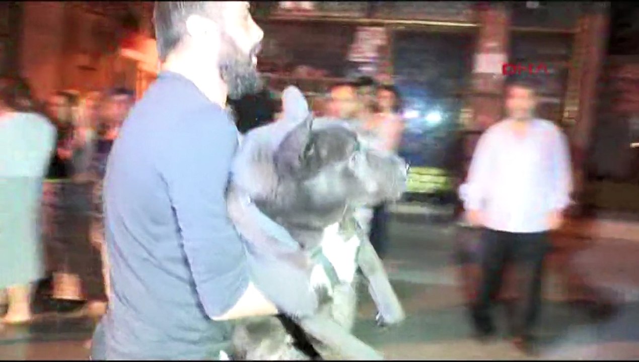 Yangında mahsur kalan köpek böyle kurtarıldı!