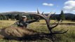 Trophy Deer Hunting Secrets