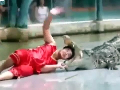 crocodile attacks || crocodile attack human || crocodile attacks human || Top 10