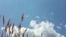 Cyclist Records A UFO Above Bike Trail Passing Three Helicopters June 2014