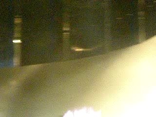 Ostrava 7.4.07 - ich brech aus