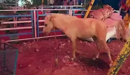 Heroine Kajal Aggarwal Makeup Room Shocking Secrets