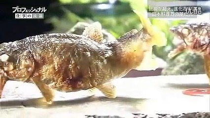 Revolution of Japanese Cuisine, Chef Yamamoto