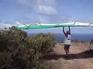 Monkey Crashes and Burns