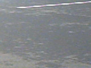 Moi une tite gamelle pour changer