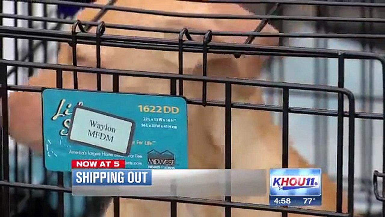 Resident tied up in Fresno home invasion robber...
