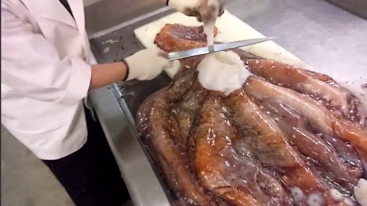 【観覧注意】大物！大ミズダコ捌き。
