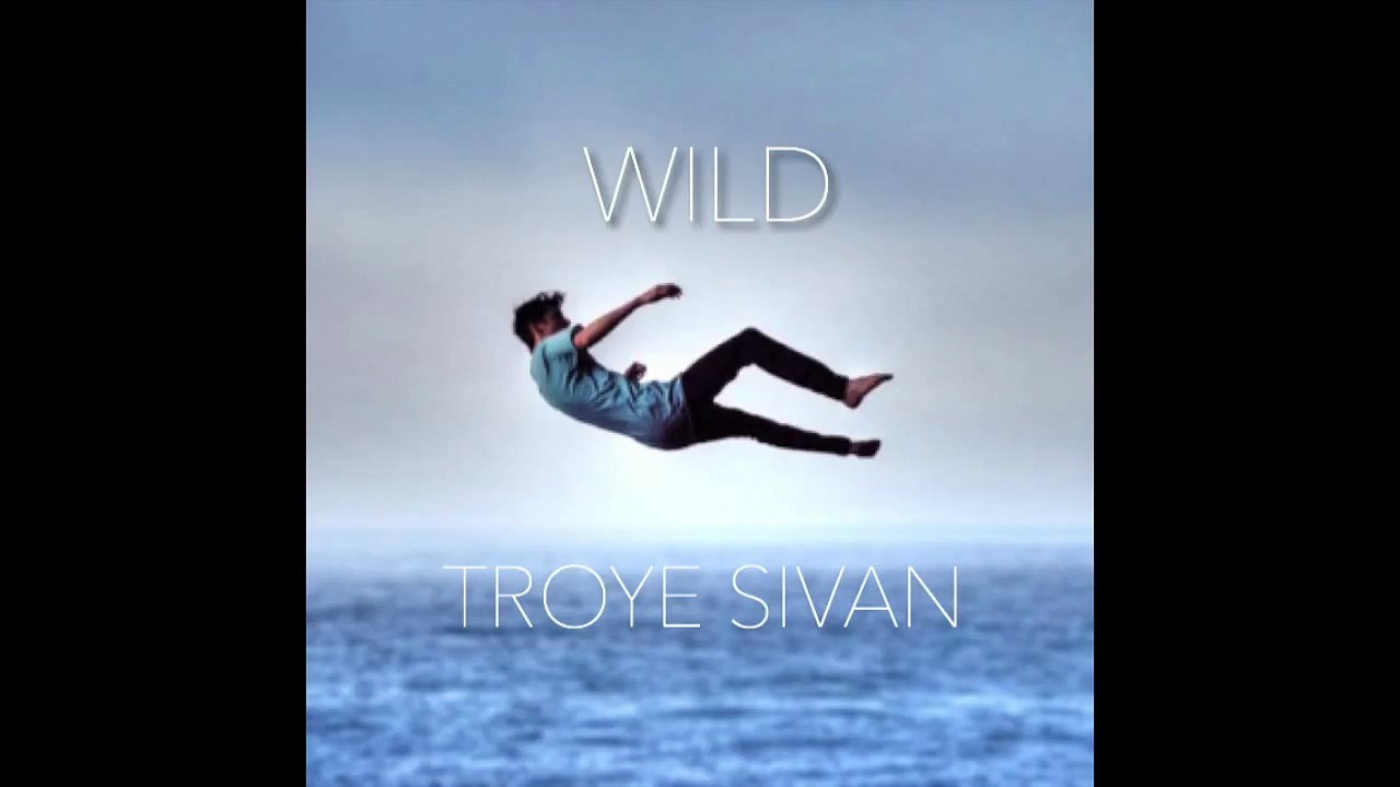 LEAKED SONG TROYE SIVAN - CONNOR'S SONG