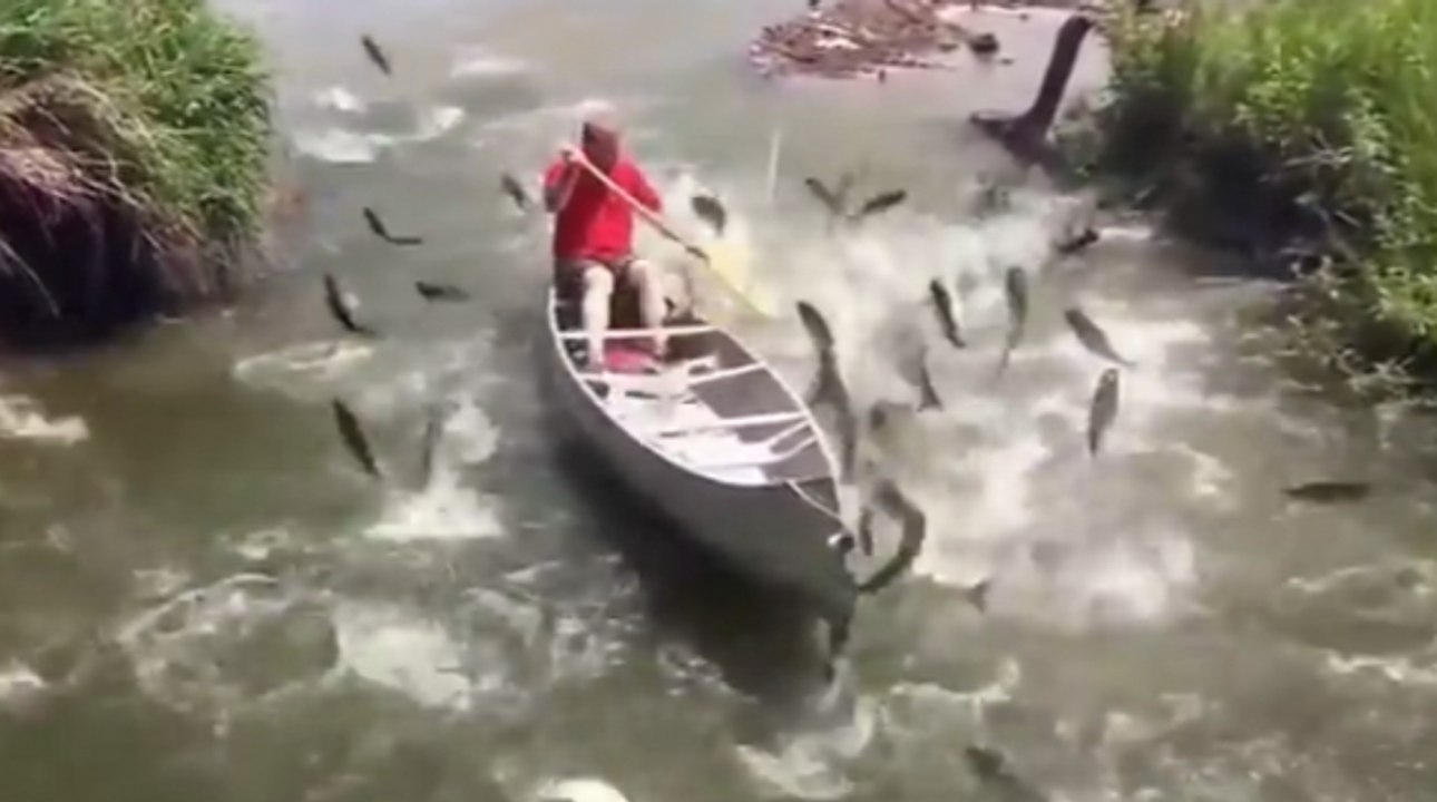 This Guy Didn't Even Need A Fishing Pole