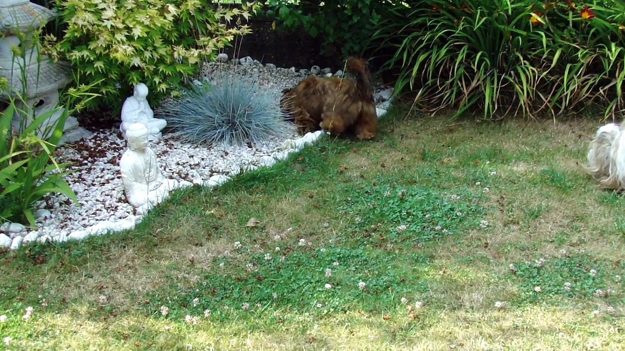 LOVELY VISITE LA PELOUSE