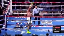 Best Boxing Knockouts 2014