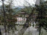Bhutan,Adventure,Travel,Culture,Dancing,Nature,Museum,Destination