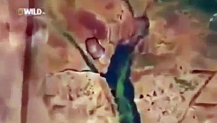 Animal Planet 2015 - Discovery Channel - Wildlife Animals - Hyena Documentary