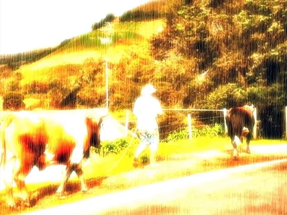 El arriero va, Divididos