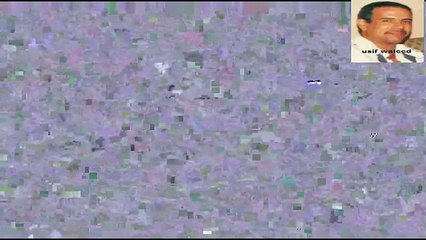 سعاد حسنى و محمد عوض من فيلم حواء و القرد