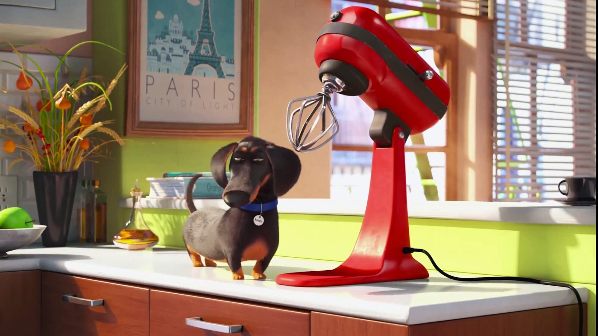 ⁣The Secret Life of Pets - Meet Buddy