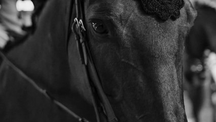 Jumping International de Bordeaux