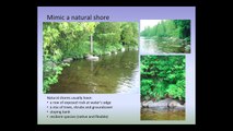 Susan Warren: Flood Resilience, Shoreland Protection