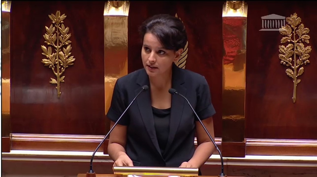 Un dispositif efficace pour protéger les enfants contre les prédateurs sexuels - Discours à l'Assemblée nationale