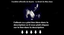 exclusivement Télécharger gratuit Album Kaaris Le bruit de mon ame Complet 2015(2)