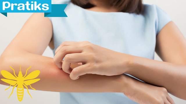 Comment faire un anti-moustiques naturel