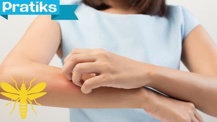 Comment faire un anti-moustiques naturel