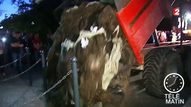 Éleveurs en colère : 10% des exploitations au bord du dépôt de bilan