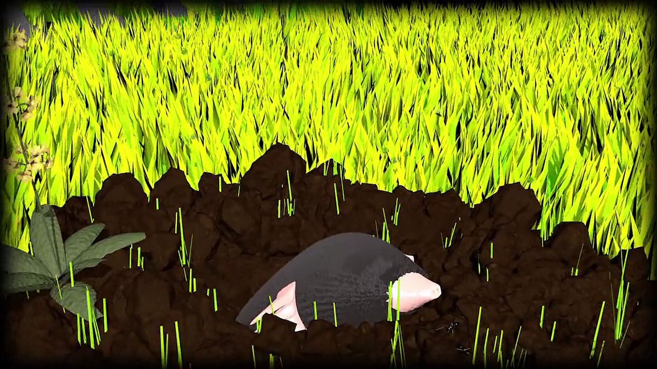 Les pesticides