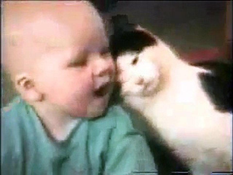Bloopers de gatos