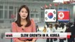North Korea's GDP growth slowed down last year: BOK