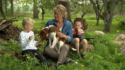 Dansk Kennel Klub - 'Når hunden er bange for mennesker eller hunde'