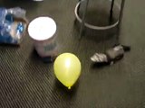 Ferrets and Balloons