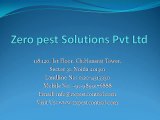 Zero pest Solutions Pvt Ltd PPT