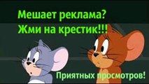 том и джерри на русском все серии подряд смотреть - том и джерри 2014 на русском все серии подряд