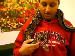JCC Reptile Room Tour