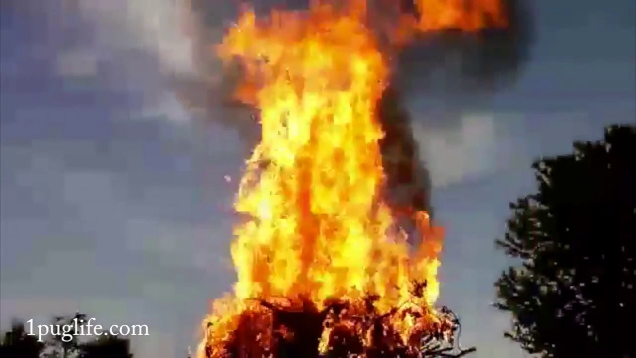 Un taré saute à travers un feu avec une tondeuse à moteur! Cascade de fou