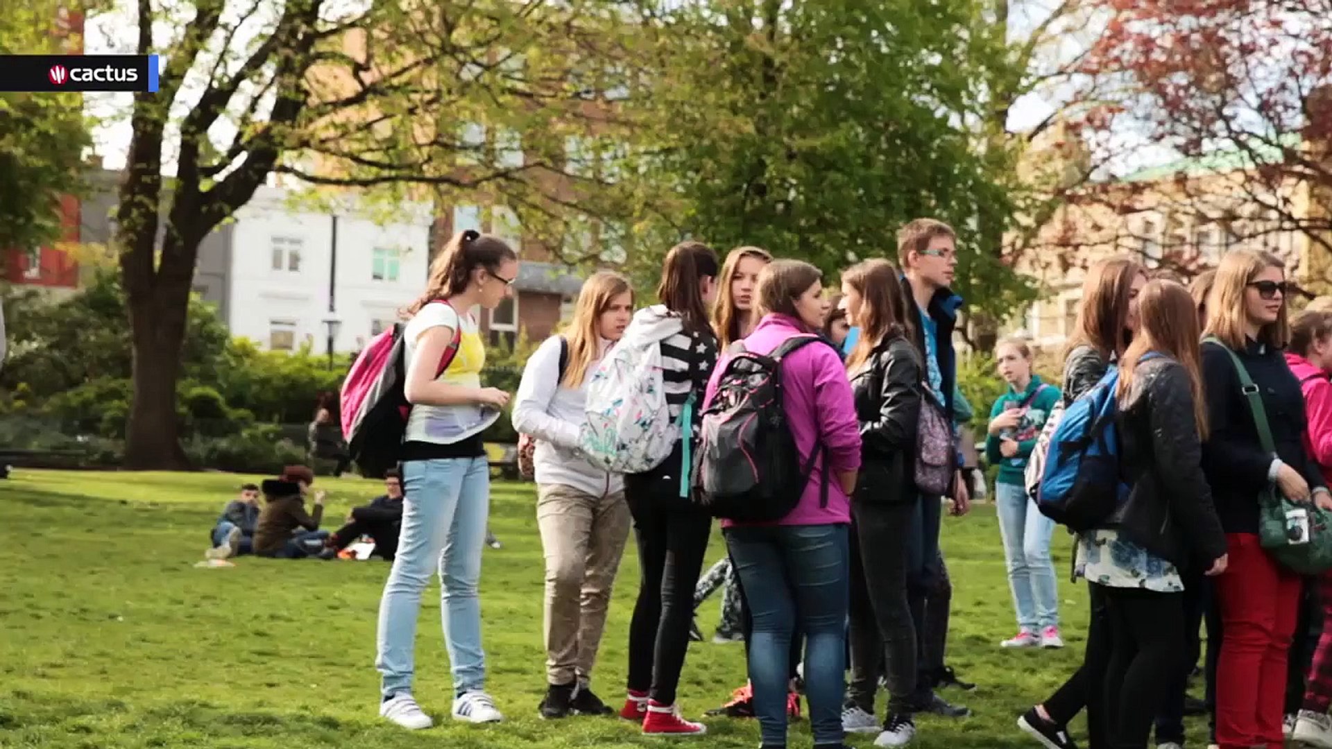 Cactus Language In Brighton: Learning English and Living in Brighton