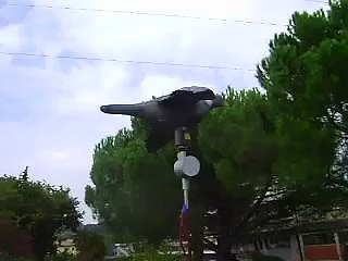 Olimpics Richiami Per la Caccia